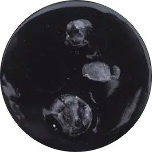 FG209 - Eboniser Fantasy Glaze