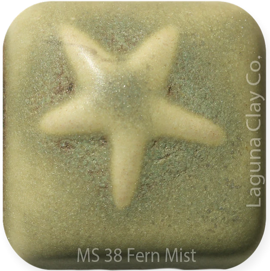 MS38 - Fern Mist Matte Glaze